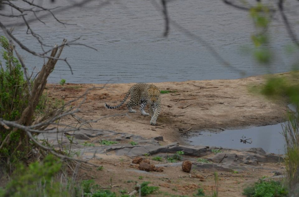 Photo of Kruger Park (Day 12 & 13) by Jeroen Borst
