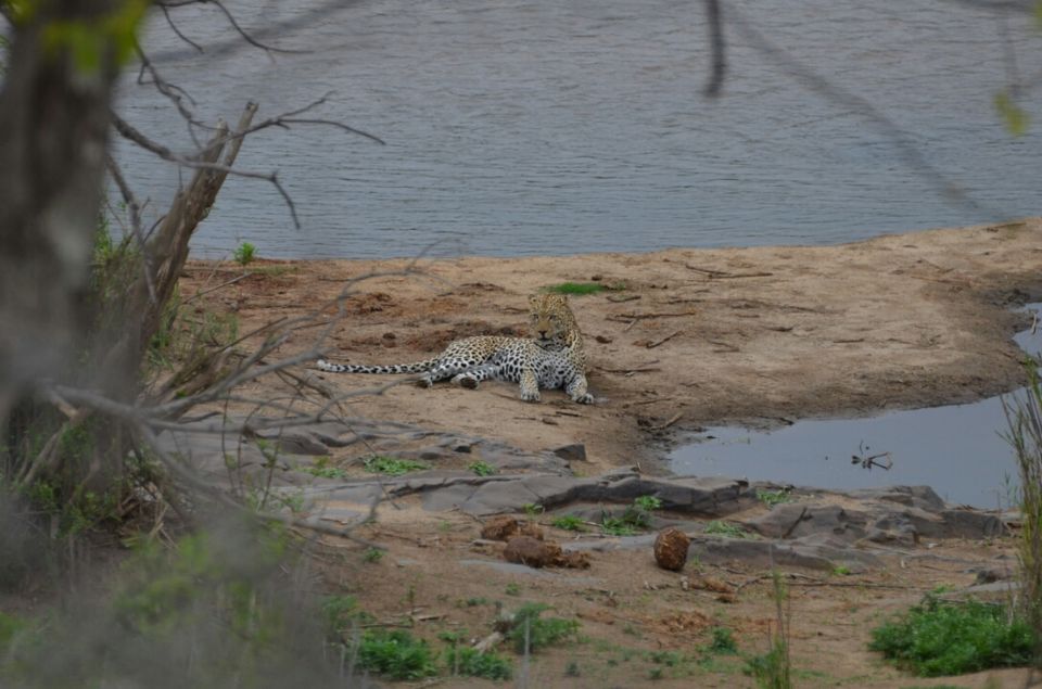 Photo of Kruger Park (Day 12 & 13) by Jeroen Borst