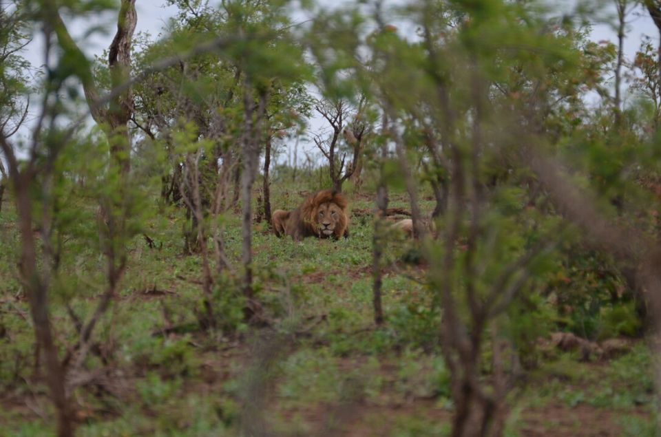 Photo of Kruger Park (Day 12 & 13) by Jeroen Borst