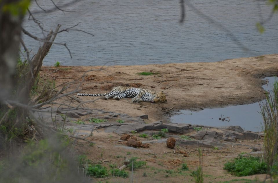 Photo of Kruger Park (Day 12 & 13) by Jeroen Borst
