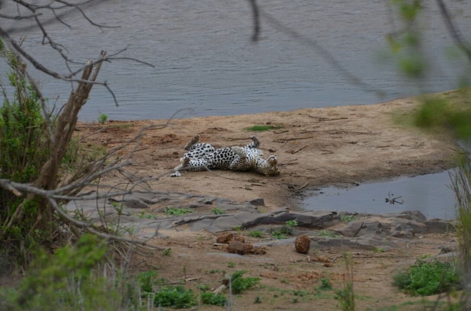 Photo of Kruger Park (Day 12 & 13) by Jeroen Borst