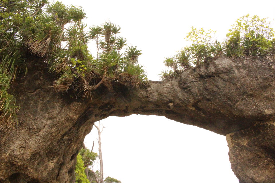 Photo of Neil Island, South Andaman, Andaman and Nicobar Islands, India by Dinesh Kumar