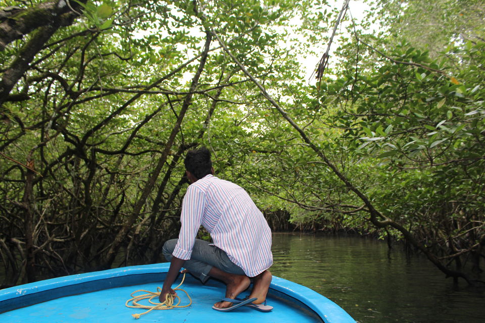 Photo of Andaman and Nicobar Islands, India by Dinesh Kumar