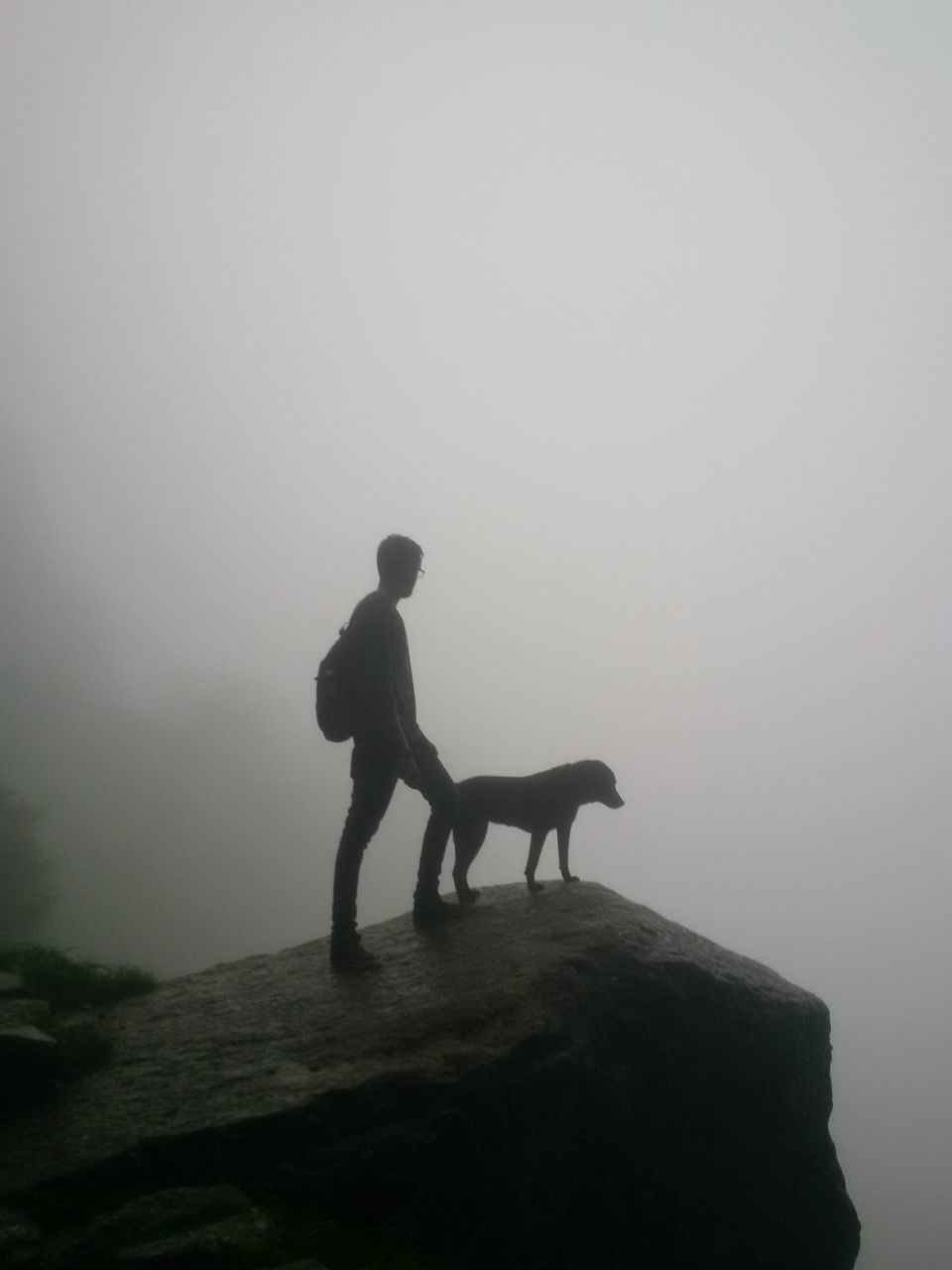 Photo of Chandigarh-Dharamshala-Mcleodganj-Triund 1/16 by Ashu Gupta