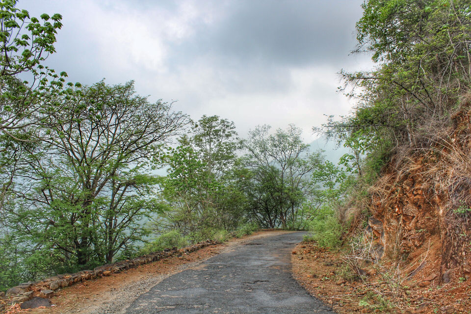 Photo of Mesmerising Mountains to Majestic Mysuru by Arun K S