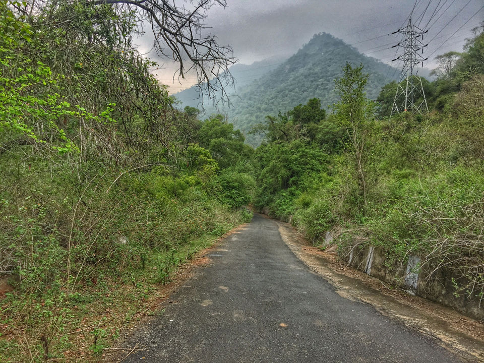 Photo of Mesmerising Mountains to Majestic Mysuru by Arun K S