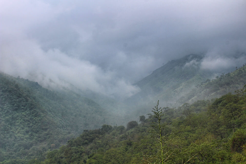 Photo of Mesmerising Mountains to Majestic Mysuru by Arun K S