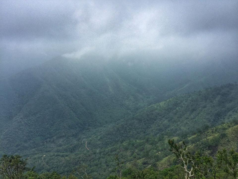 Photo of Mesmerising Mountains to Majestic Mysuru by Arun K S