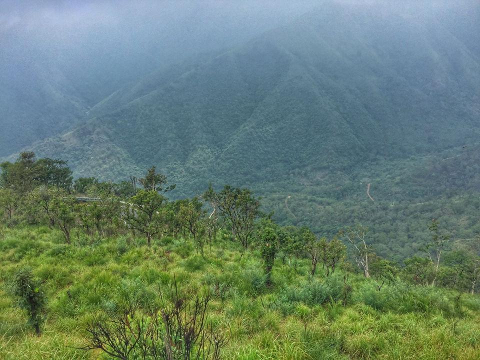 Photo of Mesmerising Mountains to Majestic Mysuru by Arun K S