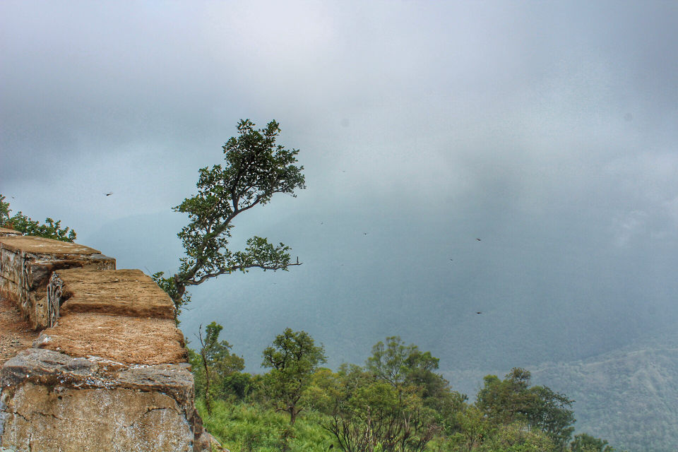 Photo of Mesmerising Mountains to Majestic Mysuru by Arun K S