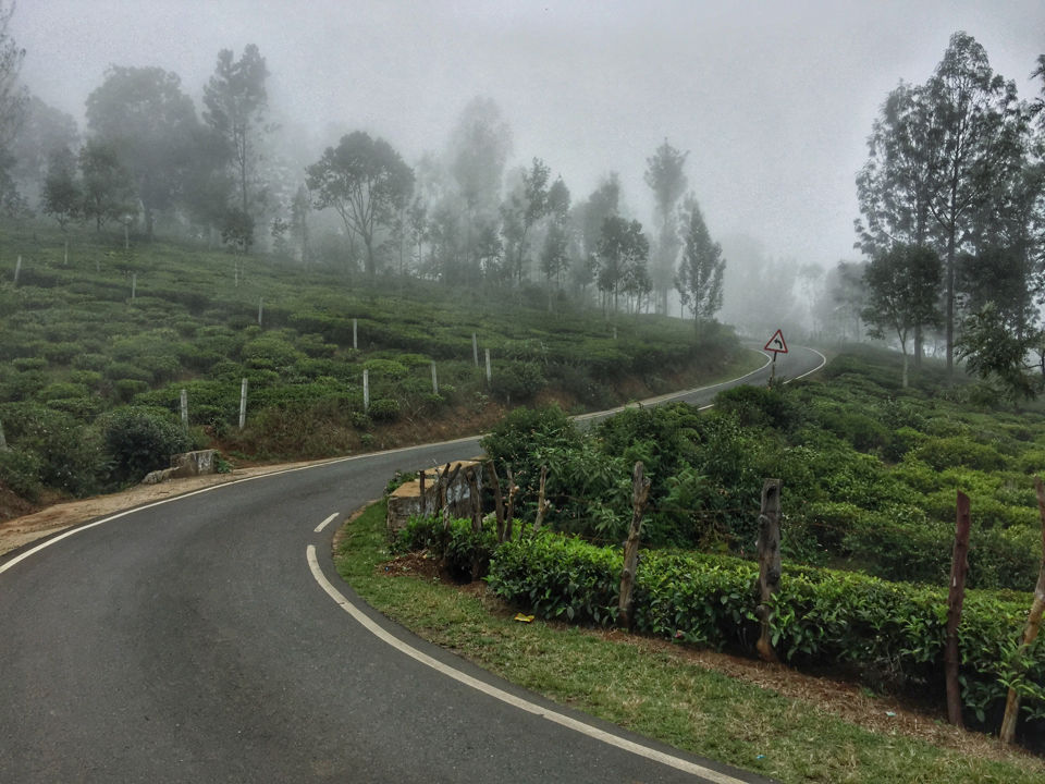 Photo of Mesmerising Mountains to Majestic Mysuru by Arun K S