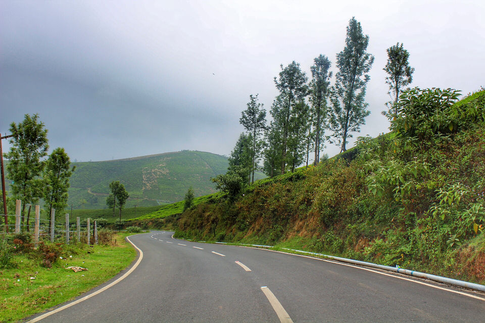 Photo of Mesmerising Mountains to Majestic Mysuru by Arun K S