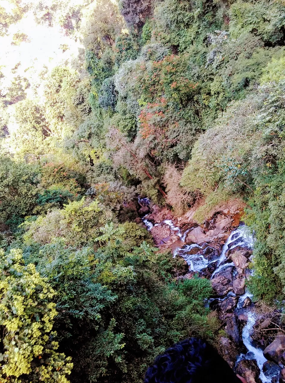Photo of Sakleshpur, Karnataka, India by Nithin S P 