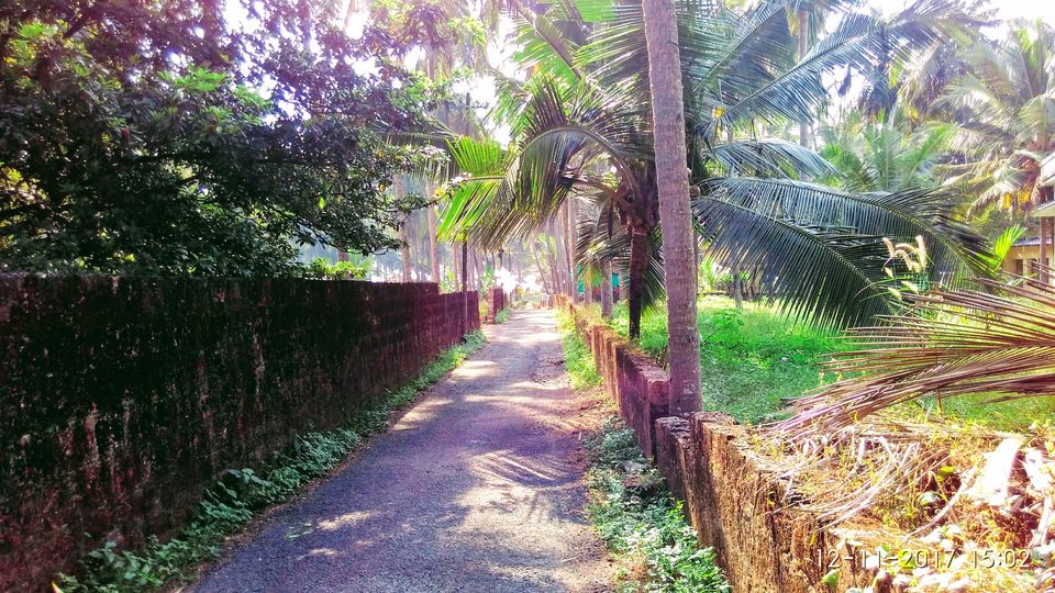 Photo of Kappil Beach, Kappil, Kerala, India by Nithin S P