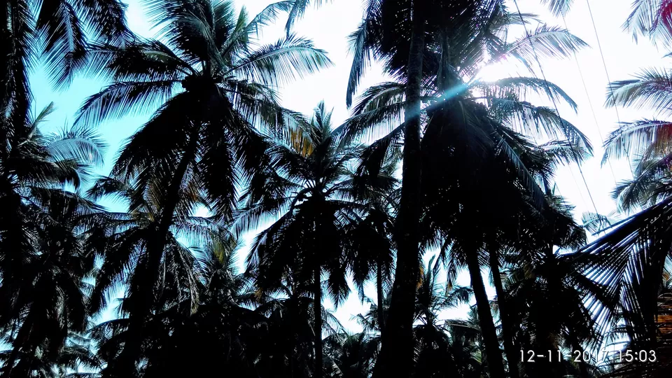 Photo of Mangaluru and Kasaragod - Coastal beauties by Nithin S P