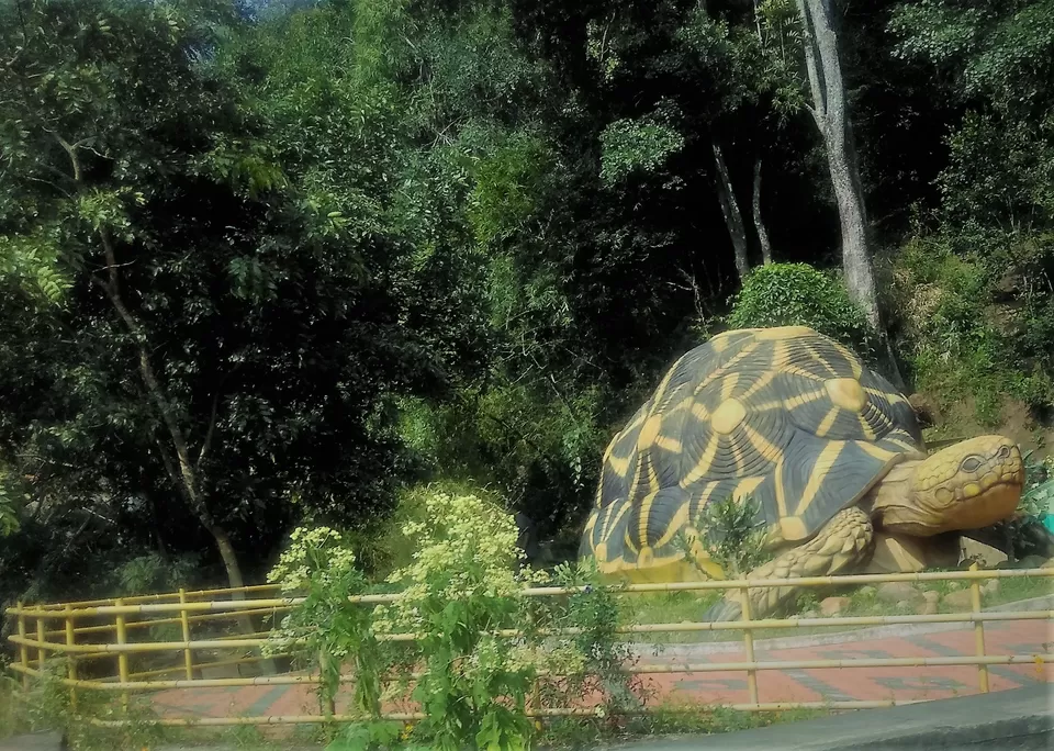 Photo of Chinnar Wildlife Sanctuary., Idukki, Kerala, India by Nithin S P 