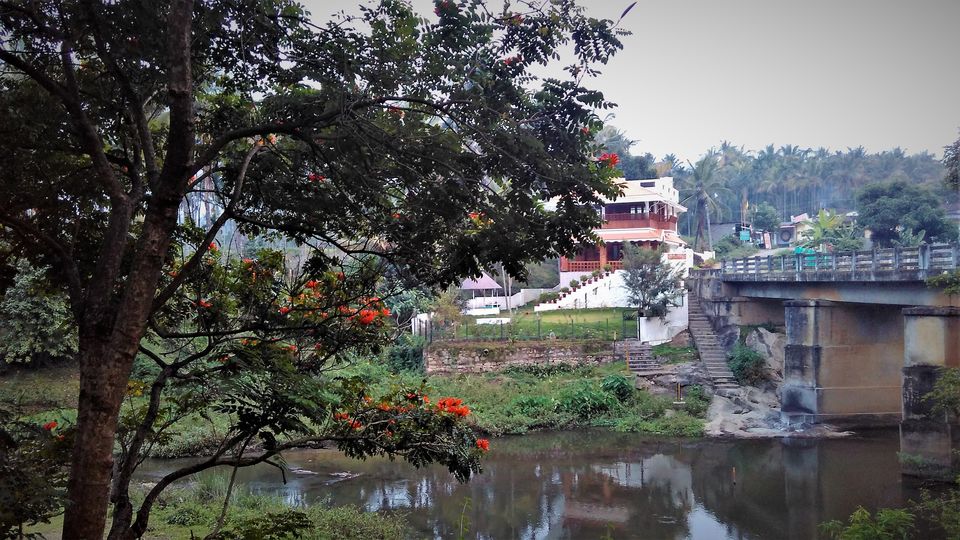 Photo of Munnar and Marayoor - Its all about Greenery by Nithin S P