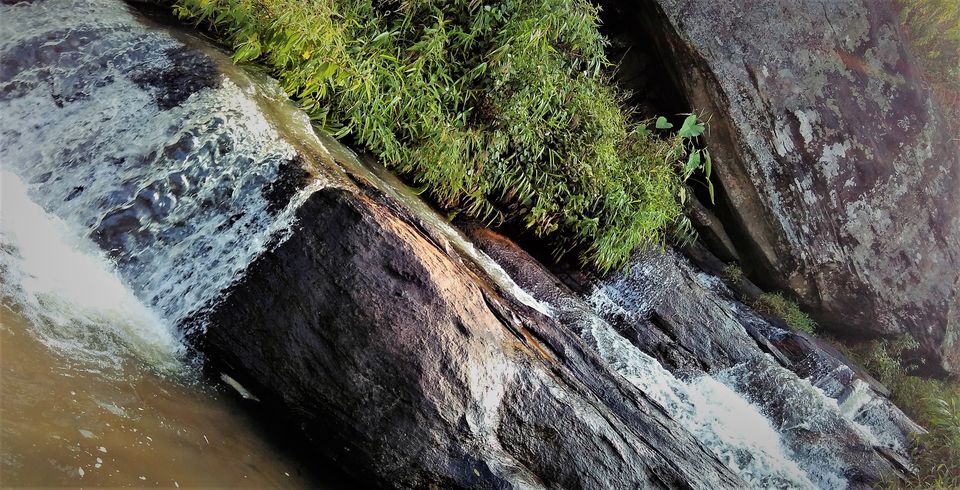 Photo of Munnar and Marayoor - Its all about Greenery by Nithin S P