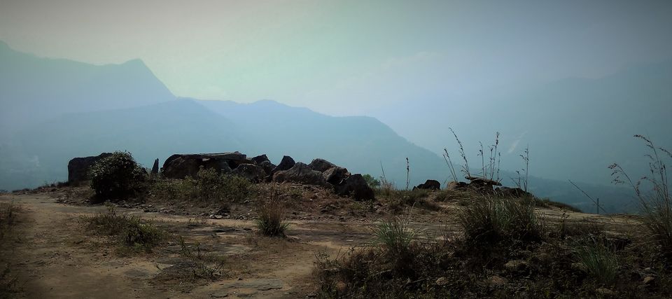 Photo of Munnar and Marayoor - Its all about Greenery by Nithin S P
