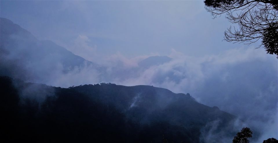 Photo of Munnar and Marayoor - Its all about Greenery by Nithin S P