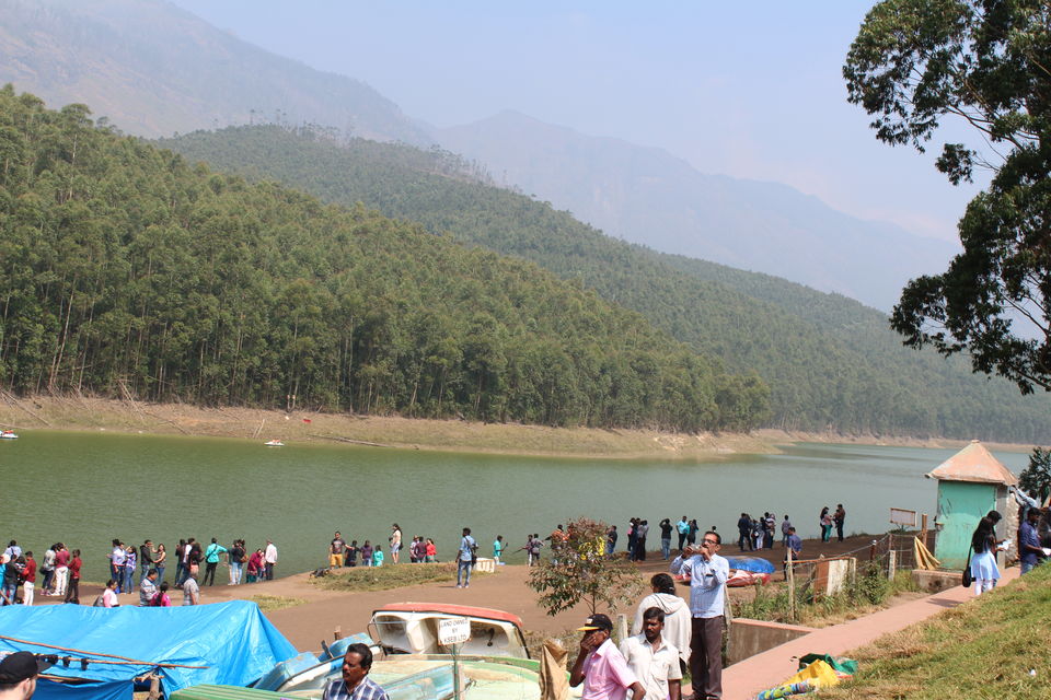 Photo of Munnar and Marayoor - Its all about Greenery by Nithin S P