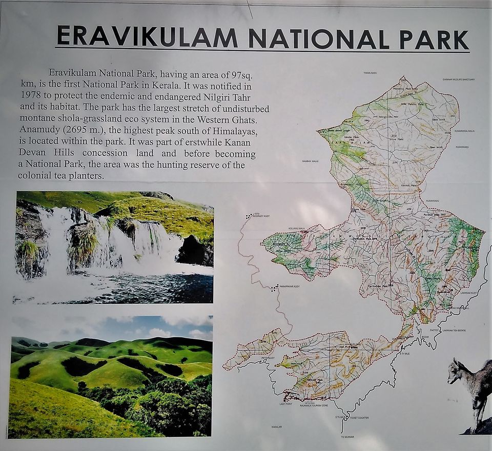 Photo of Munnar and Marayoor - Its all about Greenery by Nithin S P