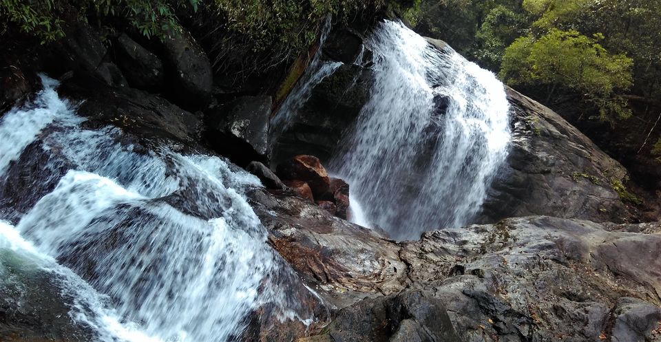 Photo of Munnar and Marayoor - Its all about Greenery by Nithin S P