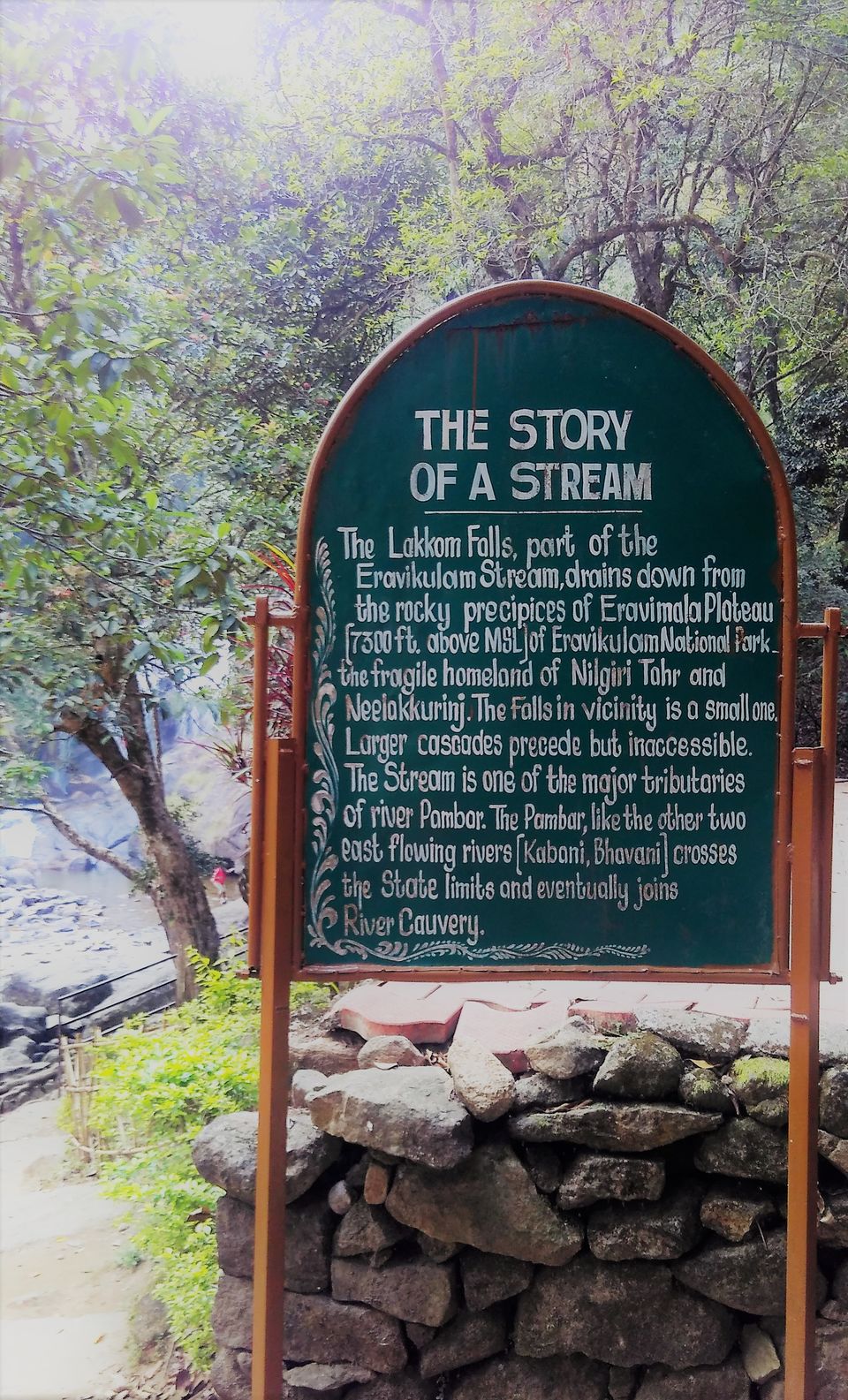 Photo of Munnar and Marayoor - Its all about Greenery by Nithin S P