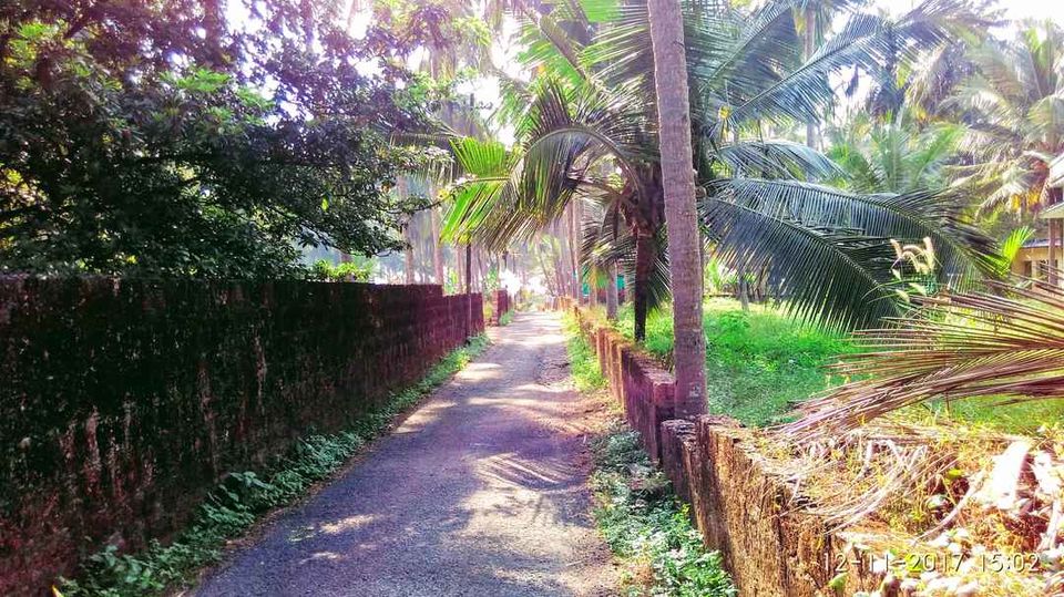 Photo of Mangaluru and Kasaragod - Coastal beauties by Nithin S P