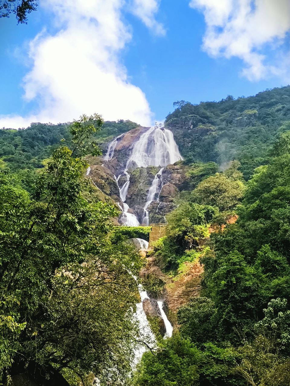Photo of Dudhsagar waterfall - Heaven on Earth! 19/24 by Nithin S P