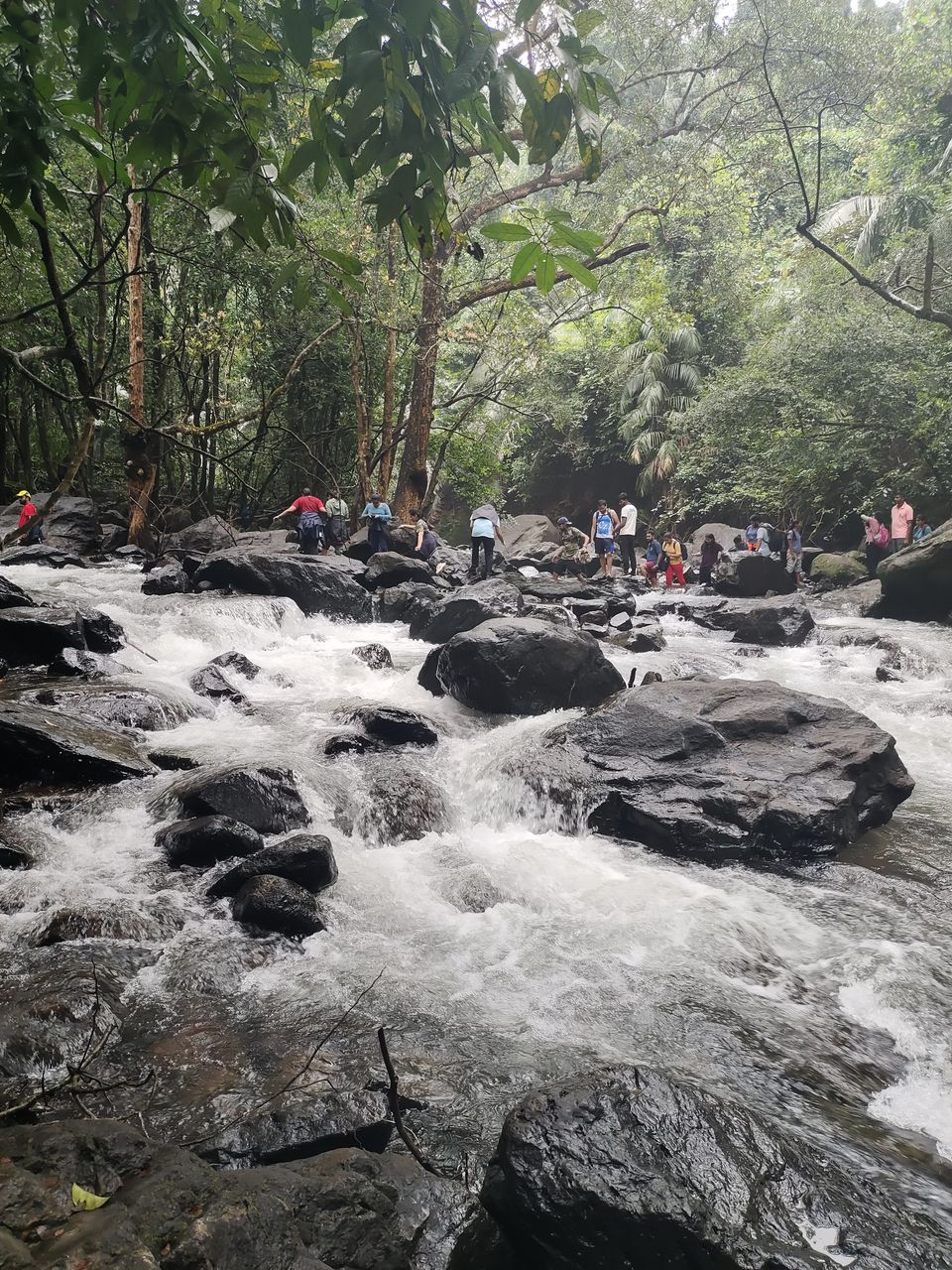 Photo of Dudhsagar waterfall - Heaven on Earth! 18/24 by Nithin S P
