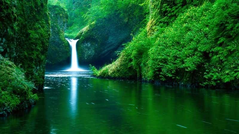 Photo of 3 must-visit camping sites in Malaysia 3/3 by Aman Verma
