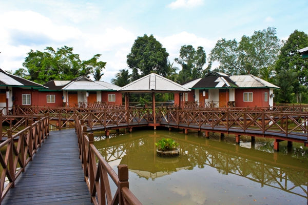 Photo of Visit Kuala Selangor - The Land of Fireflies, Seafood and Monkeys 6/6 by Aman Verma