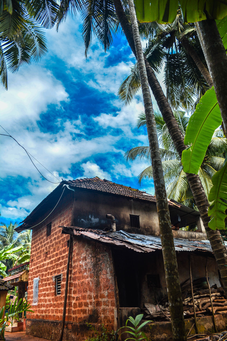 Photo of Halakki Vokkaliga #offbeatgetaway 5/10 by Havana Gowda