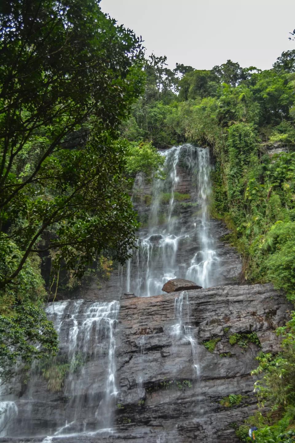 Photo of Jhari water falls path, Inam Dattathreya Peeta, Karnataka, India by Havana Gowda