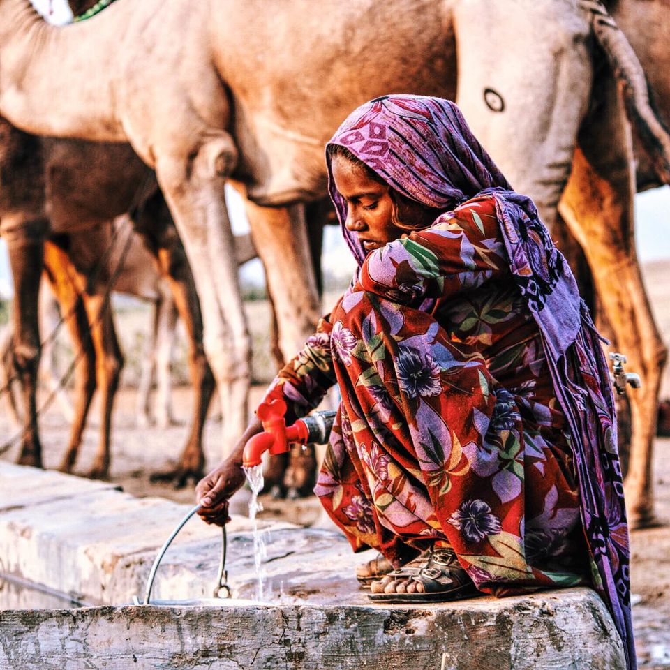 Photo of #TripotoTakeMeToSandakphu Pushkar Mela 2016 - A Boy named Sangeet 3/4 by Gursimran Singh Basra