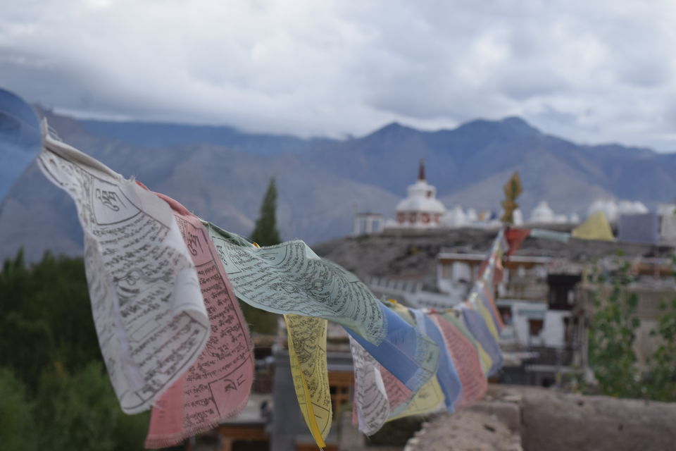 Photo of Why I Chose Travel Over Getting My Master’s Degree 1/1 by Anushka Choudhary