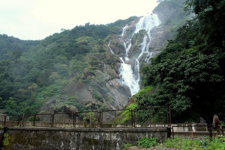 Photo of My Trek to Dudhsagar Falls: A Wish Finally Fulfilled by Hrishikesh Baruah