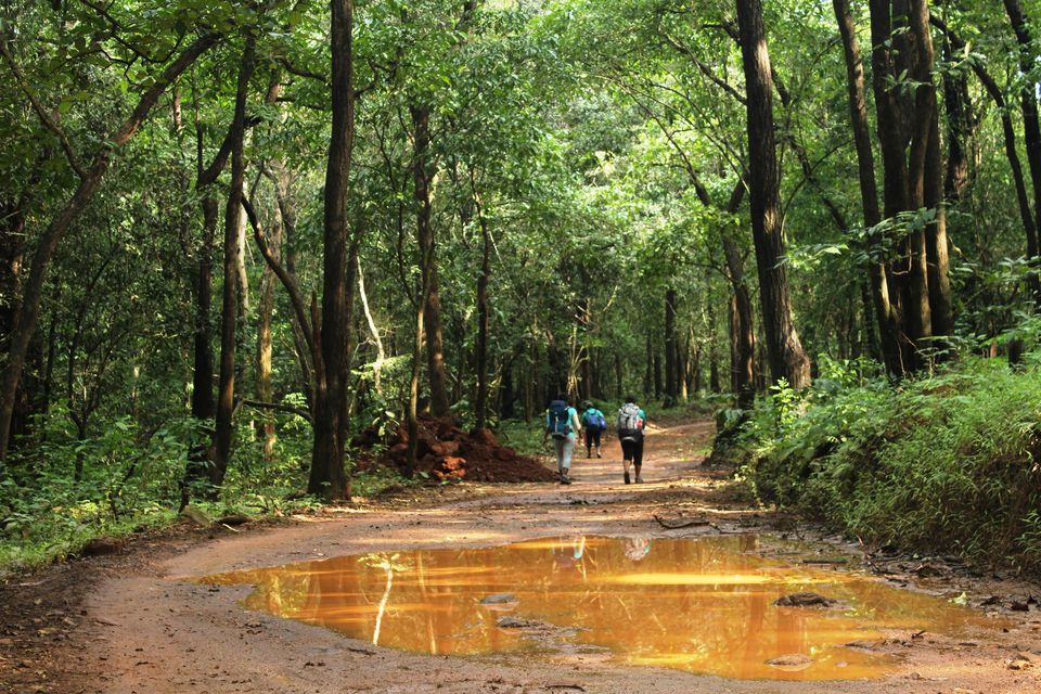 Photo of My Trek to Dudhsagar Falls: A Wish Finally Fulfilled by Hrishikesh Baruah