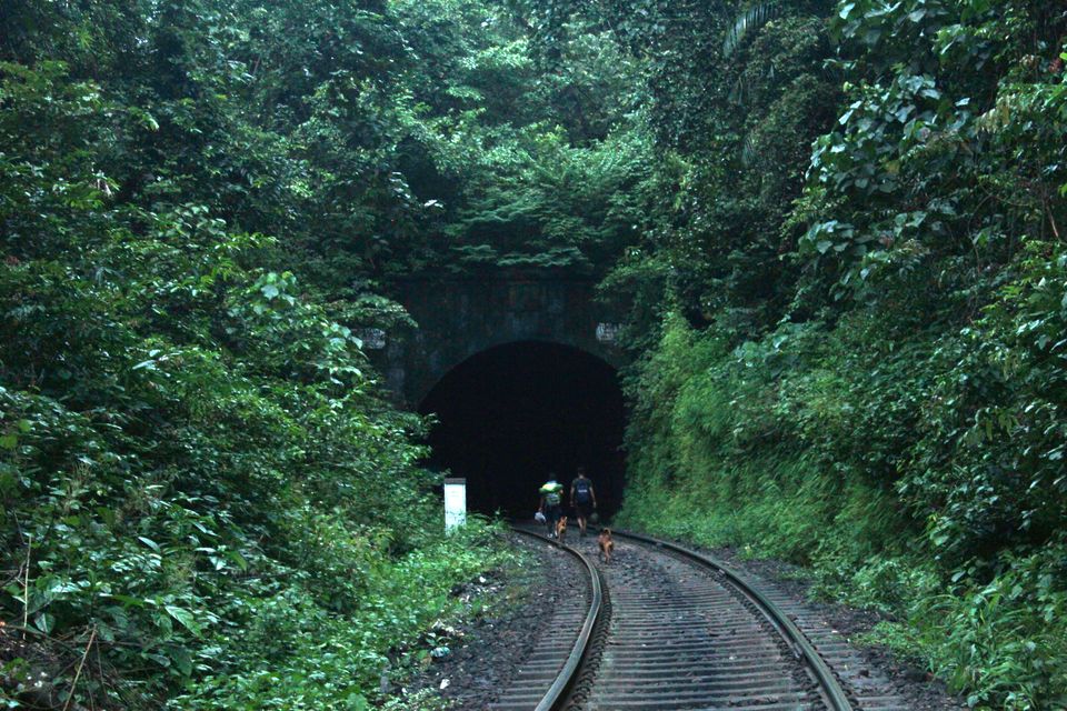 Photo of My Trek to Dudhsagar Falls: A Wish Finally Fulfilled by Hrishikesh Baruah