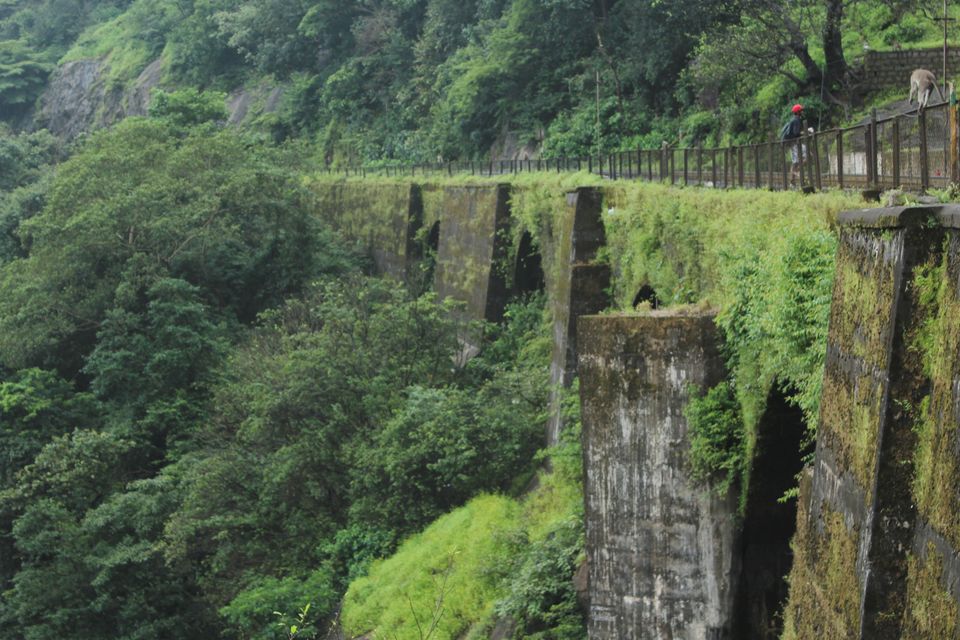 Photo of My Trek to Dudhsagar Falls: A Wish Finally Fulfilled by Hrishikesh Baruah