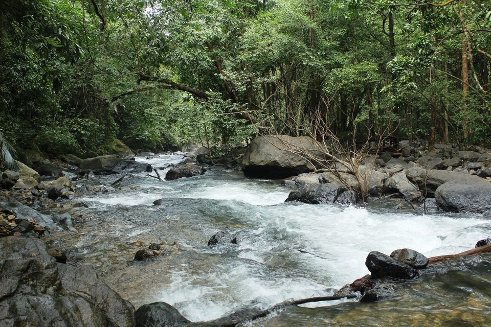 Photo of My Trek to Dudhsagar Falls: A Wish Finally Fulfilled by Hrishikesh Baruah