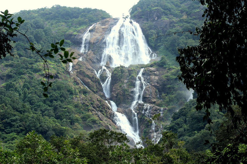 Photo of My Trek to Dudhsagar Falls: A Wish Finally Fulfilled by Hrishikesh Baruah