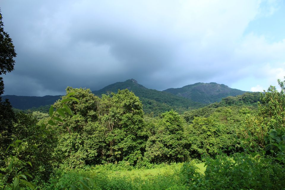 Photo of My Trek to Dudhsagar Falls: A Wish Finally Fulfilled by Hrishikesh Baruah