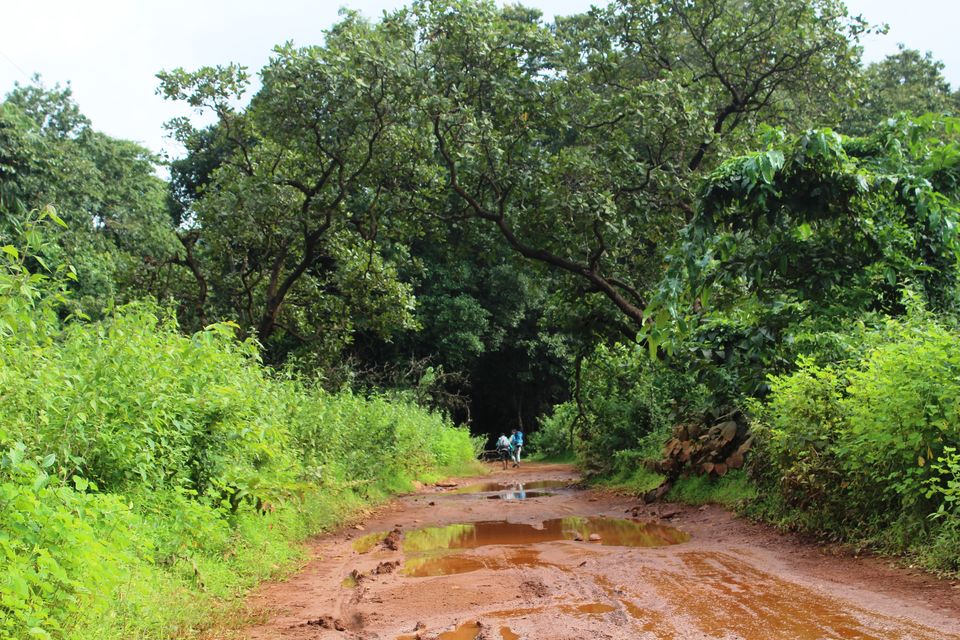 Photo of My Trek to Dudhsagar Falls: A Wish Finally Fulfilled by Hrishikesh Baruah