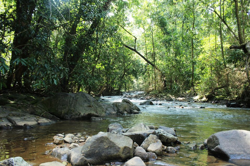 Photo of My Trek to Dudhsagar Falls: A Wish Finally Fulfilled by Hrishikesh Baruah
