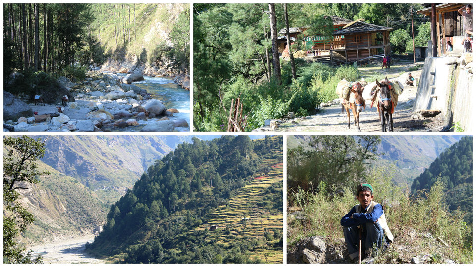 Photo of A Slice of Heaven: My Autumn Trek to Rupin Pass by Hrishikesh Baruah