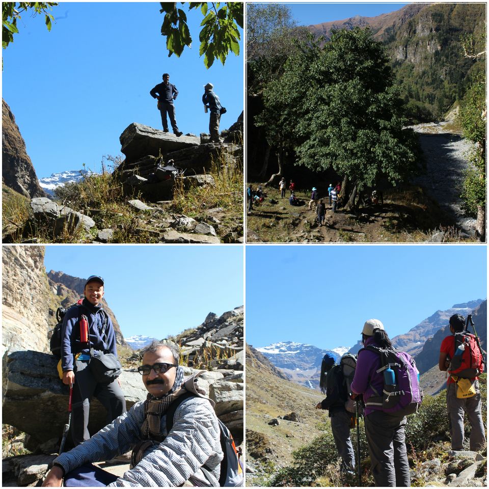Photo of A Slice of Heaven: My Autumn Trek to Rupin Pass by Hrishikesh Baruah