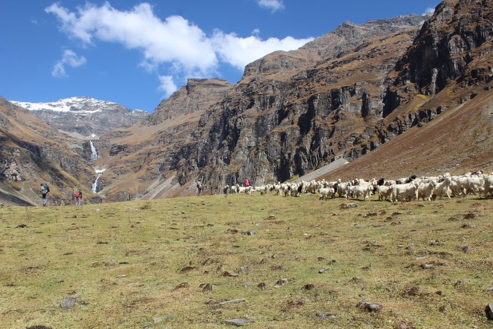 Photo of A Slice of Heaven: My Autumn Trek to Rupin Pass by Hrishikesh Baruah