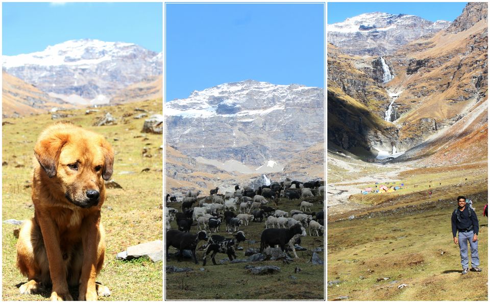 Photo of A Slice of Heaven: My Autumn Trek to Rupin Pass by Hrishikesh Baruah